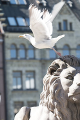 Image showing Parliament Sea Gull 