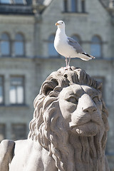 Image showing Parliament Sea Gull