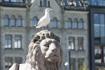 Image showing Parliament Sea Gull