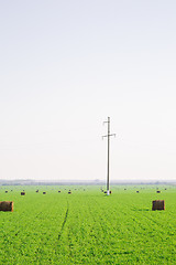 Image showing hay stacks on green field