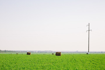 Image showing hay stacks on green field