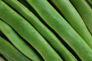 Image showing Fresh green runner beans background