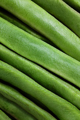 Image showing Green runner beans background