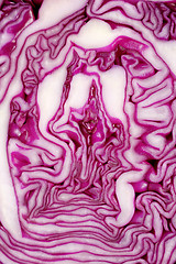 Image showing Cut face of red cabbage background