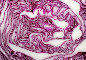 Image showing Cross section of red cabbage background