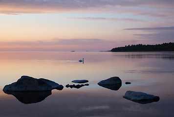Image showing Sunset lake