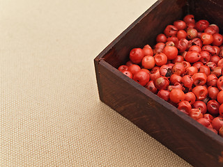 Image showing Red Pepper Seeds