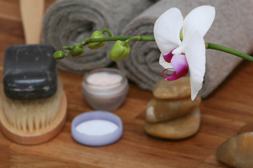 Image showing orchid spa