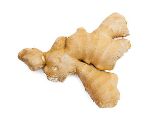 Image showing Ginger isolated on the white background