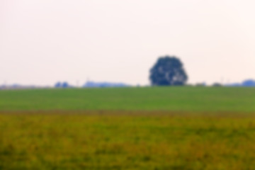 Image showing Nature in autumn season