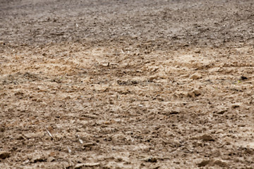 Image showing plowed for sowing the land