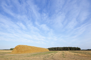 Image showing stack of straw in the field