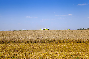 Image showing Harvester in the field