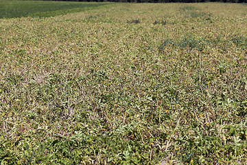 Image showing Photo agriculture, Europe