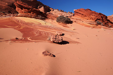 Image showing The Wave, Vermilion Cliffs National Monument, Arizona, USA