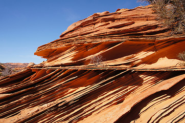 Image showing The Wave, Vermilion Cliffs National Monument, Arizona, USA