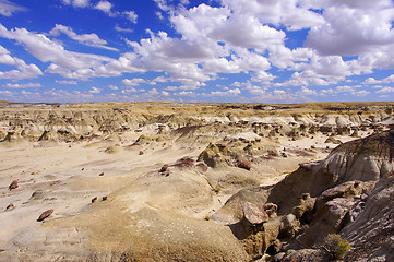 Image showing Ah-Shi-Sle-Pah Wilderness Study Area, New Mexico, USA