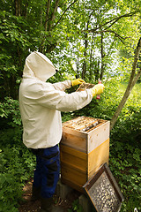 Image showing Beekeeper