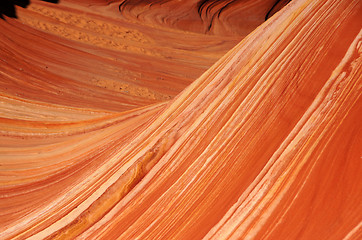 Image showing The Wave, Vermilion Cliffs National Monument, Arizona, USA