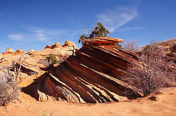 Image showing The Wave, Vermilion Cliffs National Monument, Arizona, USA