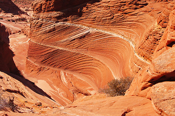 Image showing The Wave, Vermilion Cliffs National Monument, Arizona, USA