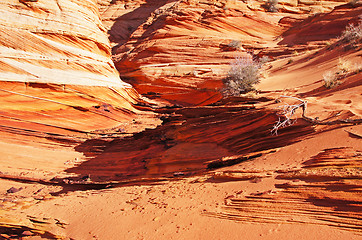 Image showing The Wave, Vermilion Cliffs National Monument, Arizona, USA