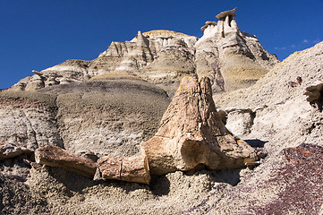 Image showing Ah-Shi-Sle-Pah Wilderness Study Area, New Mexico, USA