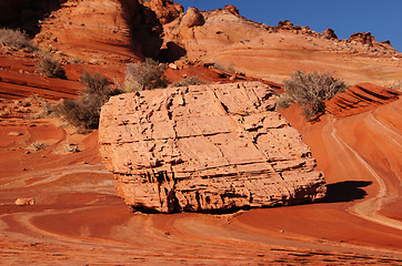 Image showing The Wave, Vermilion Cliffs National Monument, Arizona, USA