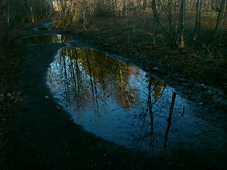 Image showing Winter mirror