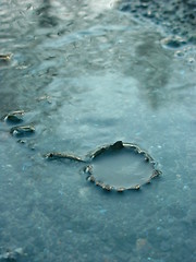 Image showing Winter leaves