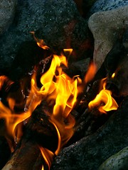 Image showing Fire at the beach