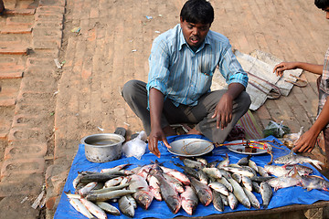 Image showing Fish market in Canning, West Bengal, India