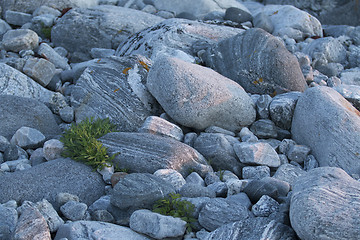 Image showing Stones on Beach