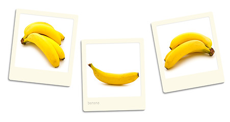 Image showing Banana Photos