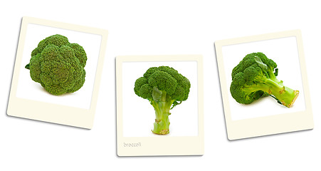 Image showing Broccoli Photos