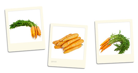 Image showing Carrot Photos