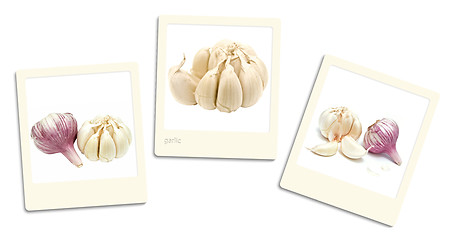 Image showing Garlic Photos