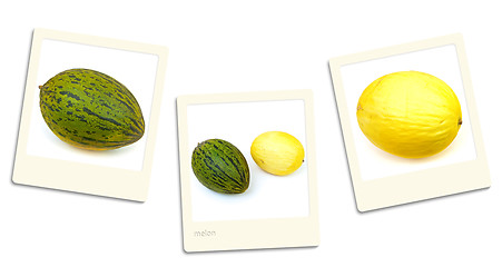 Image showing Melon Photos