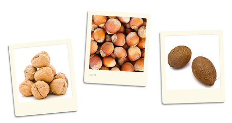 Image showing Nuts Photos