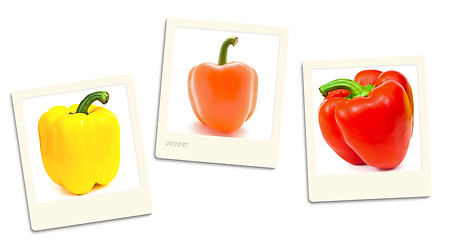 Image showing Paprika Photos