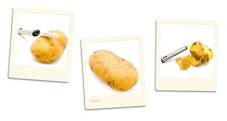 Image showing Potato Photos