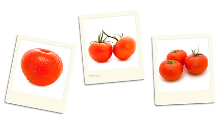 Image showing Tomato Photos