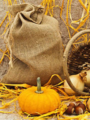 Image showing Still Life With Pumpkin