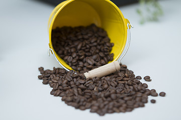 Image showing Coffe Grain