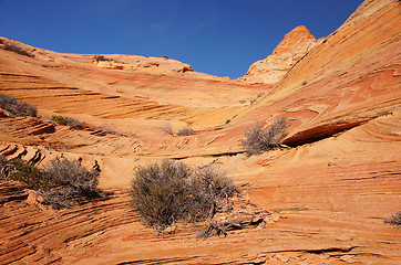 Image showing The Wave, Vermilion Cliffs National Monument, Arizona, USA