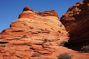 Image showing The Wave, Vermilion Cliffs National Monument, Arizona, USA