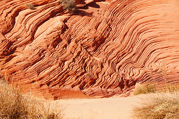 Image showing The Wave, Vermilion Cliffs National Monument, Arizona, USA