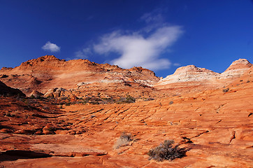 Image showing The Wave, Vermilion Cliffs National Monument, Arizona, USA