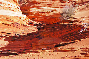 Image showing The Wave, Vermilion Cliffs National Monument, Arizona, USA