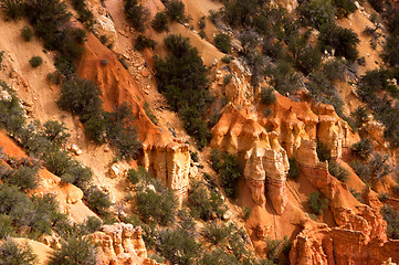 Image showing Bryce Canyon, Utah, USA